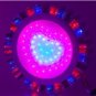 Heart Shaped LED AC110-220V 4.4W Wall Lamp (Silver)