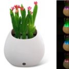 Simulated Cactus Potted Plant Design LED Night Light with Intelligent Light Control