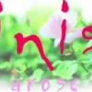Inis Arose EAU DE PARFUM SPRAY