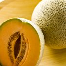RARE ANATOLIAN VARIOUS MELON SEEDS 300+ SEEDS