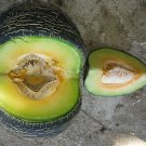 WINTER BLACK MELON 30 FRESH SEEDS