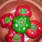 SWEET TOPEPO ROSSO PEPPER FRESH 20 SEEDS
