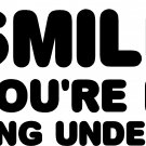 SMILE IF YOU'RE NOT WEARING UNDERWEAR VINYL DECAL STICKER 7" WIDE!!
