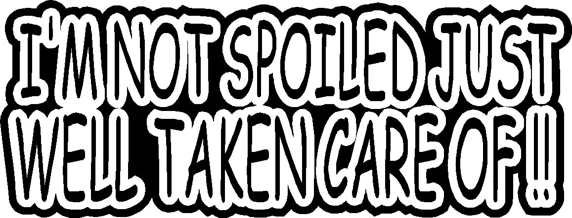I'M NOT SPOILED JUST WELL TAKEN CARE OF VINYL DECAL STICKER 8.5" WIDE!