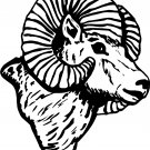 RAMS HEAD VINYL DECAL STICKER 7" TALL & DETAILED!!