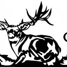 MULE DEER VINYL DECAL STICKER 7" WIDE!