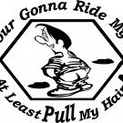 gay tailgating sticker if you're gonna ride my ass at least pull my hair!