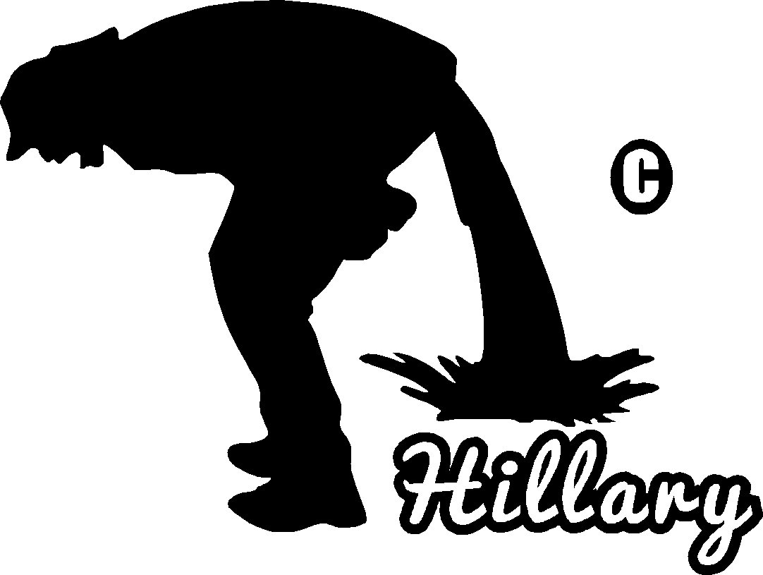 pee piss poo diarrhea on hillary vinyl decal sticker