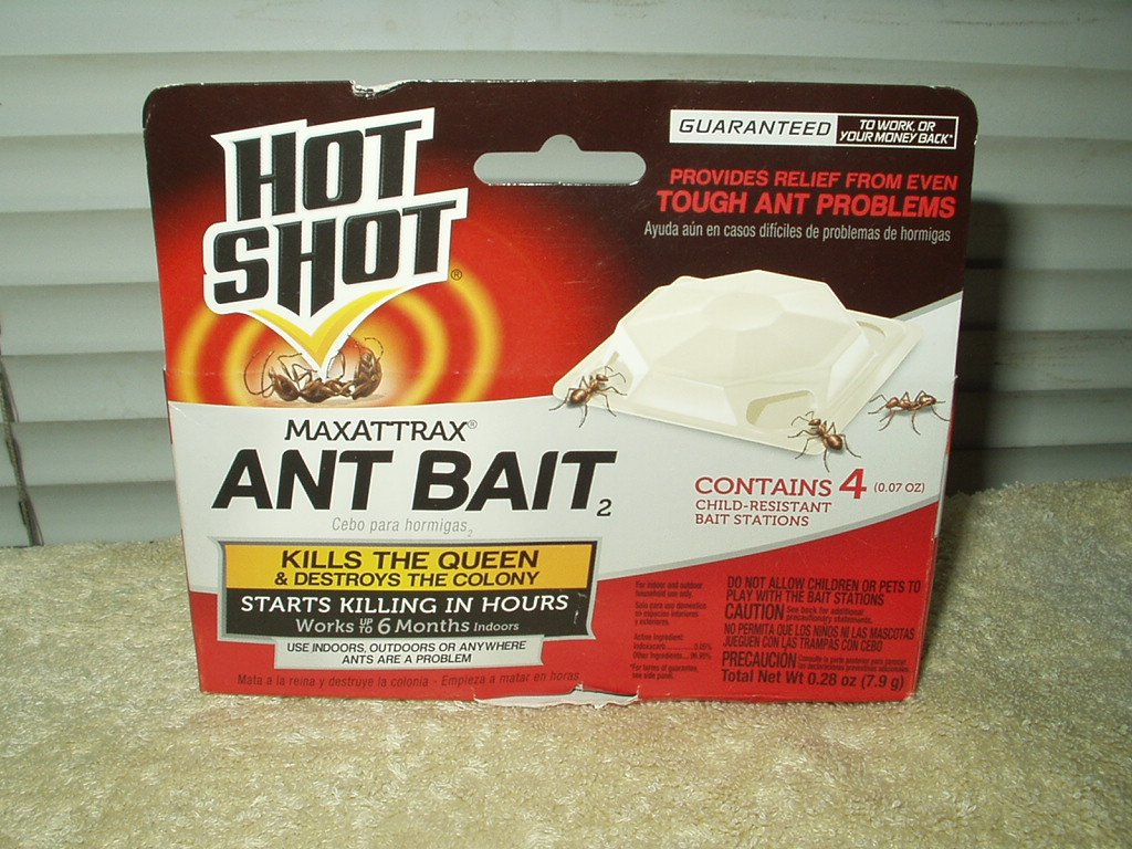 hot shot maxattrax ant bait 1 box w/ 4 stations