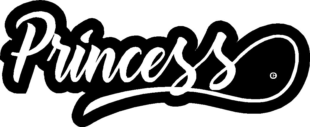 princess vinyl decal sticker 8.5" wide!