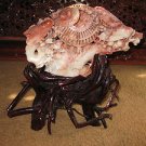 COLLECTIBLE TOP QUALITY CHINESE  HAND CARVED SHOUSHAN JADE CICADA STATUE