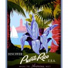 Puerto Rico #2 - Where Americas Meet Travel Poster [4 sizes, matte+glossy avail]