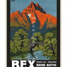Bex Brine Baths - Vintage Swiss Travel Poster [4 sizes, matte+glossy avail]