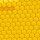 The Mind HoneyComb