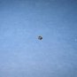 Sewing Machine Class 66 Bobbin Case Tension Spring Screw 1173S