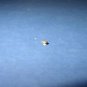 Sewing Machine Class 66 Bobbin Case Tension Screw 1172S Designed To Fit Singer