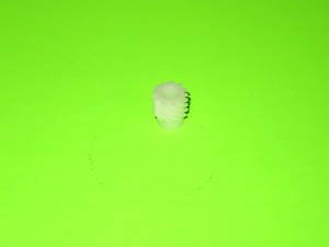 Elna Sewing Machine Shaft Gear 710002