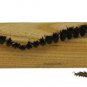 ProTeam ProCare 15, Procare 15XP Brushroll 104216