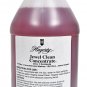 Hagerty Jewel Clean Concentrate