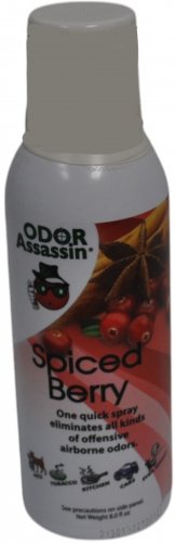 Odor Assassin Odor Eliminator Spice Berry RO-115036