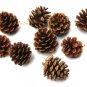 12 pcs Christmas Tree Bow Decoration Merry XMAS Party Bows Garden Ornament Hot