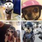 Humorous Pet Dog Giggle Treat Training Chew Squeaky Sound Activity Toy Puppy
