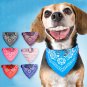 Humorous Pet Dog Giggle Treat Training Chew Squeaky Sound Activity Toy Puppy