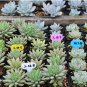 100x Waterproof Plastic Plant Cake LABELS MARKER price / ID tags garden business