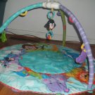 Fisher Price Activity Play Mat and Gym