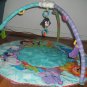 Fisher Price Activity Play Mat and Gym