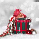 Christmas Basket Digital Layered Photography Template File #329