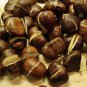 Ready to Eat! Roasted Chestnuts Value Package/ 3