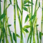 BAMBOO Pattern POLYESTER Plastic 180 x 180 cm Bathroom SHOWER CURTAIN Set