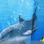 DOLPHIN Under the Sea Adorable Design 178 x 178 cm Bathroom Use SHOWER CURTAIN