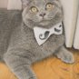 BOW TIE BLACK Mustache WHITE Fabric BOW TIE For Wedding Party Casual Easy Use