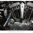 Print 04 - Harley Iron Head