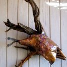 Copper Coyote