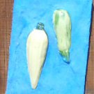 Wall Plaque - Corn & Squash