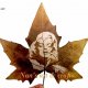 leaves art