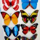 Toys, Games & Hobbies