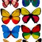 Large Butterfly Magnets 12cm Wingspan Real Looking Butterflies