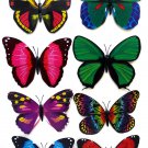 Butterfly Fridge Magnets x 4 Pack Real Looking Tropical Butterfly 12cm Wingspan