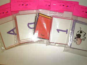 Preschool Laminated Flash Cards Starter Set (106 cards) - 5 Packages