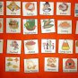 Fall / Thanksgiving Sight Words in FELT or LAMINATED, Your Choice