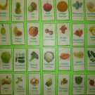 Fruit & Vegetable Sight Words - Dual Language (English and Spanish)