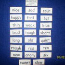 Adjectives Learning Pieces - FELT OR LAMINATED CARDSTOCK, Your Choice