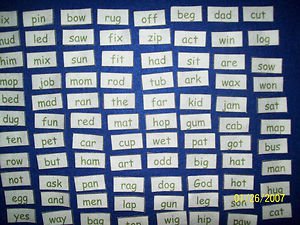 3 Letter Felt Sight Words - 95 Words NEW