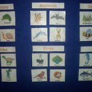 Science Animal Categorization/Groups - CHOOSE FROM FELT OR LAMINATED
