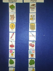 Singular or Plural Sight Words & Match - FELT or LAMINATED CARDSTOCK