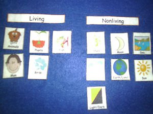 Living or Non-Living Sight Words & Match - FELT or LAMINATED CARDSTOCK
